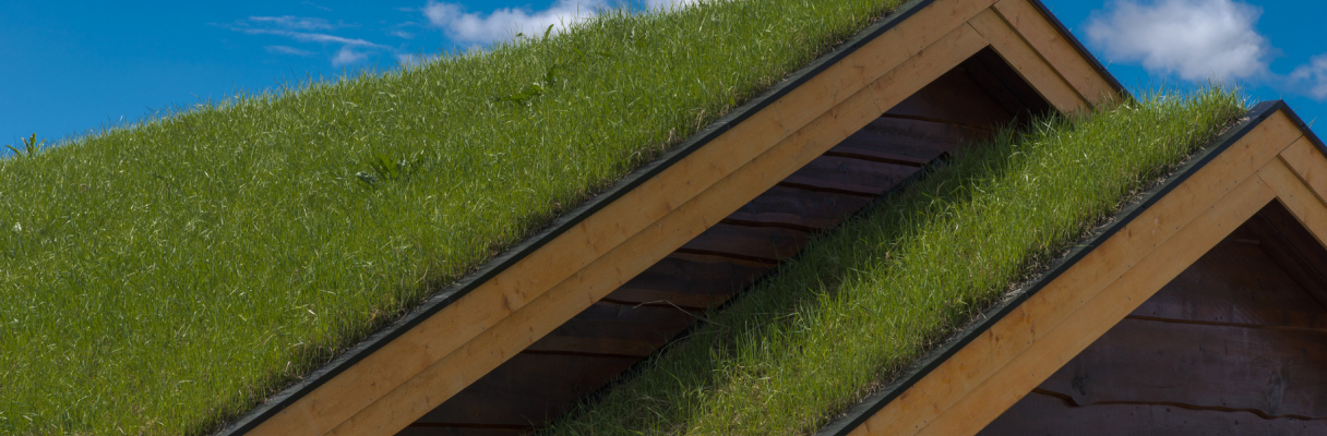 green-roofs